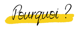 Icône pourquoi